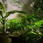 لامپ رشد گیاه لایت میژن مدل پایپ لایت سری سه شاخه نچرال