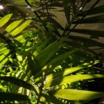 لامپ رشد گیاه لایت میژن مدل پایپ لایت سری تک شاخه نچرال