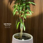 لامپ رشد گیاه لایت میژن مدل پایپ لایت سری تک شاخه نچرال