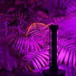 لامپ رشد گیاه لایت میژن مدل مینی سان وار پلاس 20 وات