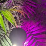 لامپ رشد گیاه لایت میژن مدل مینی سان وار پلاس 20 وات