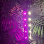 لامپ رشد گیاه لایت میژن مدل مینی سان وار پلاس 20 وات