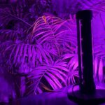 لامپ رشد گیاه لایت میژن مدل مینی سان وار پلاس 20 وات