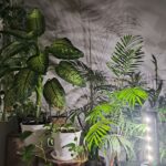 لامپ رشد گیاه لایت میژن مدل مینی سان وار پلاس 20 وات