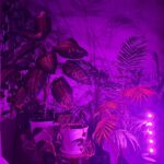 لامپ رشد گیاه لایت میژن مدل مینی سان وار پلاس 20 وات