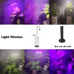 لامپ رشد گیاه لایت میژن مدل آرمان 20 وات . متشکل از پایه مجیک هولدر لایت میژن و لامپ رشد گیاه لایت میژن مدل sunwar mini plus 20 وات است . در پویتر همنطور که قابل مشاهده است چراغ در کنار گلدان ها در حالت نور بنفش و نچرال و دورنگ روشن شده است .