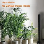 لامپ رشد گیاه لایت میژن مدل sunwar 22 وات در کنار گلدان ها در سالن پذیرایی منرل