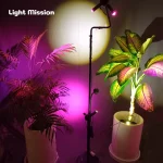 چراغ با کیفیت و فول اسپکتروم رشد گیاه لایت میژن در کنار گلدان ها در حالت روشن بسیار با کیفیت و زیبا
