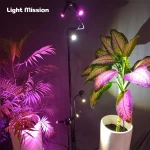 نمای نزدیک از چراغ رشد گیاه لایت میژن مدل سان رایز 15 وات در کنار دو گلدان که در دو مدل طیف نوری نچرال و بنفش در عکس وجود دارد در بین دو گلدان که طیف نوری بنفش به وضوح بر روی برگ گیاه دیده میشود