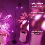 چراغ رشدگیاه فول اسپکتروم لایت میژن مدل sunrise 15 وات با طیف نوری بنفش بسیار با کیفیت در بین گلدانها