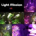 چراغ رشد گیاه فول اسپکتروم لایت میژن در چند نما در طیف نوری بنفش و نچرال در کنار گیاه شامادار و فیکوس