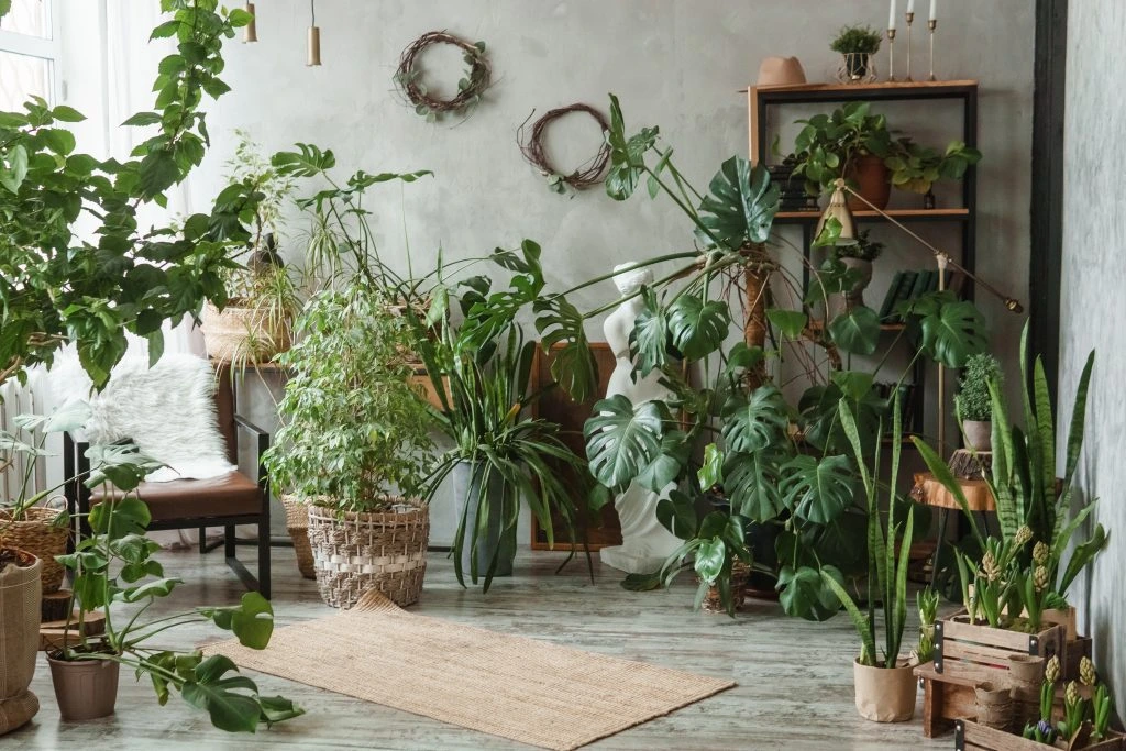 لامپ های رشد گیاه فول اسپکتروم لایت میژن - واتس اپ 09365993463