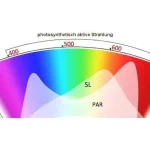 راهنمای خرید لامپ رشد گیاه از فروشگاه لایت میژن